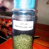 Fish feed %284%29