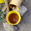 Rabbit urine photo