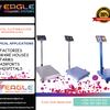 Flyer eagleplat4 59