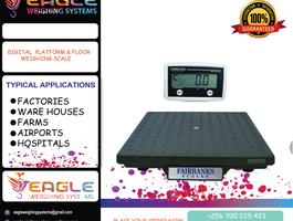 Flyer eagleplat4 13