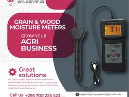 Flyer 32