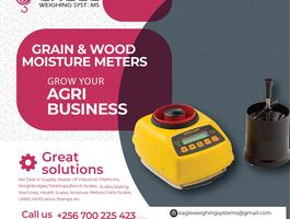 Flyer 61