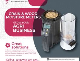 Flyer 16