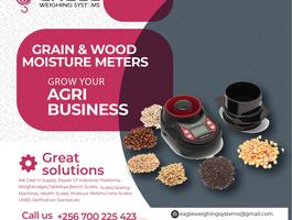 Flyer 60