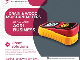 Flyer 12