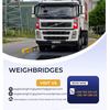 Weig 04
