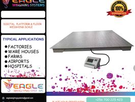 Flyer eagleplat4 55