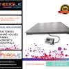 Flyer eagleplat4 55