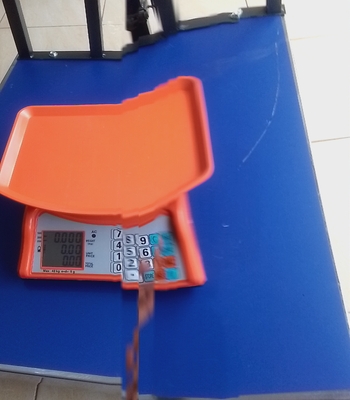 Img 20250420 164536 8 panorama