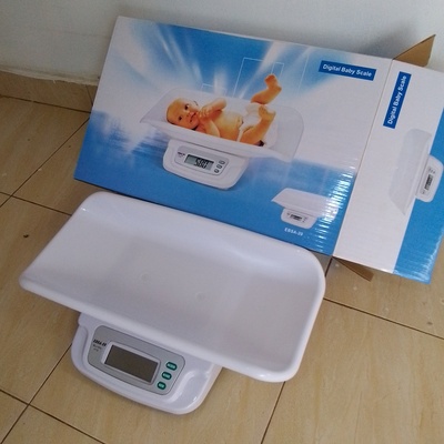 Img 20241008 143351 206