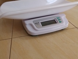 Img 20241008 143310 404