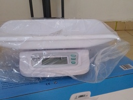 Img 20241008 143212 300