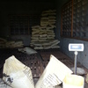 Feeds in store %281%29