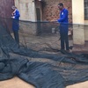 Predator net