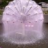Img 20250102 wa0038