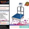 Flyer eagleplat 36