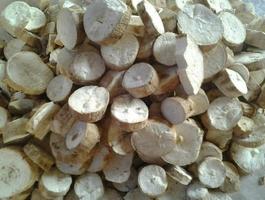 Product 500x500