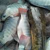Img 20180519 wa0069