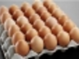 9537078