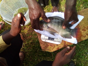 Img 20190831 105239 1