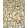 White maize 250x2502 0x90