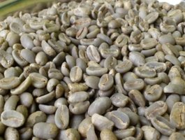 Kopi wamena