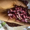 Img 20200624 100713
