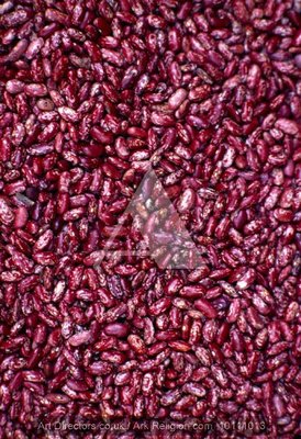Beans