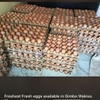 6074744