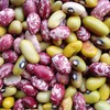 Beans