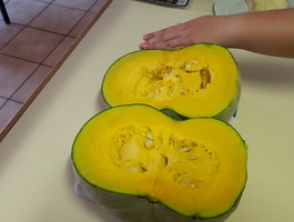 Img 20210303 wa0047