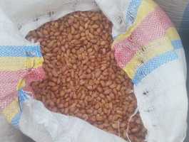 Img 20210906 wa0001