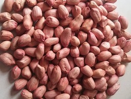 Img 20210910 wa0008