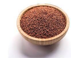 Finger millet