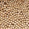 White pea 28safed vatana 29 500x500