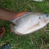 Img 20211228 wa0015