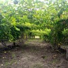 Img 20211210 wa0016