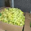 Img 20220210 wa0011