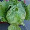 Img 20200811 wa0044