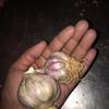 Img 20201011 wa0055