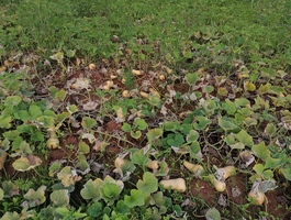Img 20221121 180839
