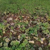 Img 20221121 180839