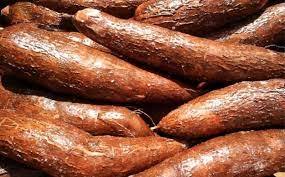 Fresh cassava