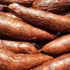 Fresh cassava