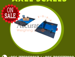 Axle scales%287%29