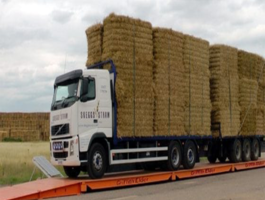 Portable weighbridge 4 png 2