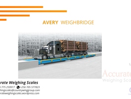 Avery weighbridge 2 png