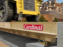 Cardinal weighbridge 9 png 2