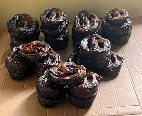 Photo 2025 09 10 13 51 06