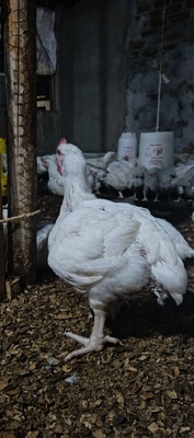 Img 20250529 190914 793